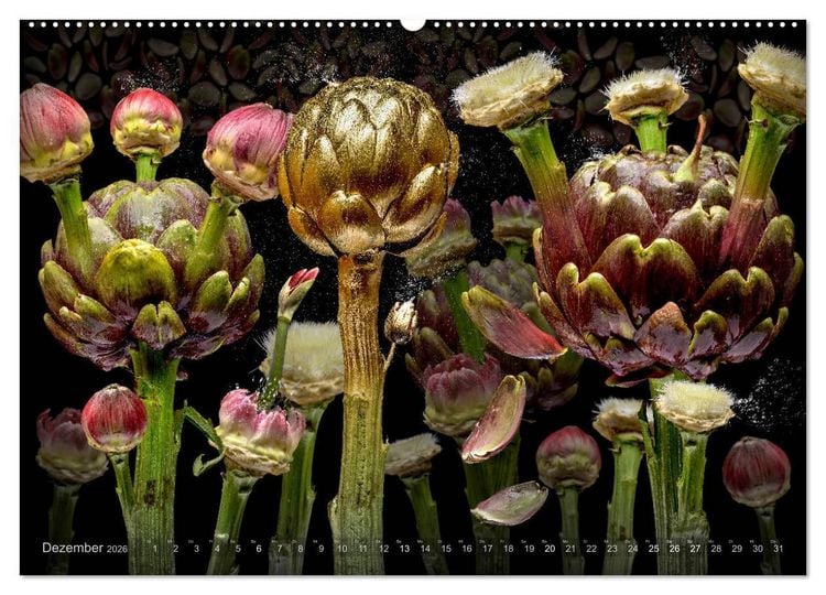 Produktbild: Flora miracula - Die wundersame Welt des Fotografen Olaf Bruhn (hochwertiger Premium Wandkalender 2026 DIN A2 quer), Kunstdruck in Hochglanz