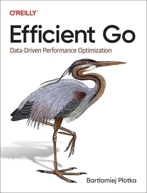 Produktbild: Efficient Go