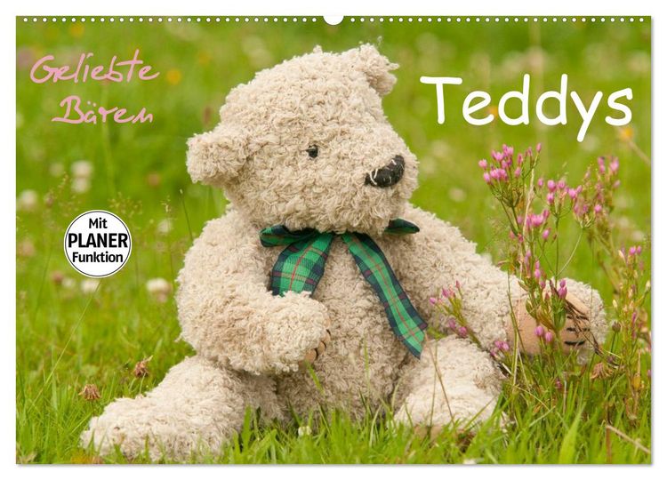 Produktbild: Geliebte B&auml;ren - Teddys (Wandkalender 2026 DIN A2 quer), CALVENDO Monatskalender