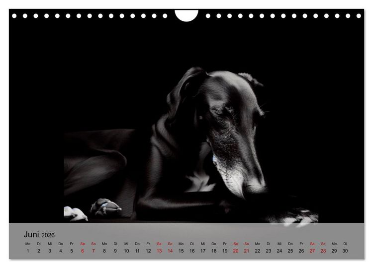 Produktbild: Black is beautiful (Wandkalender 2026 DIN A4 quer), CALVENDO Monatskalender