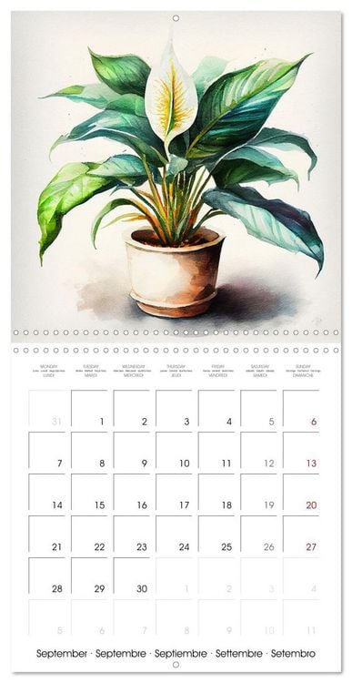 Produktbild: The Art of House Plants (Wall Calendar 2026 12 &times; 12 Inch) CALVENDO 12 Month Wall Calendar