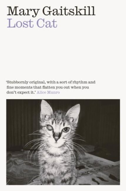Produktbild: Lost Cat