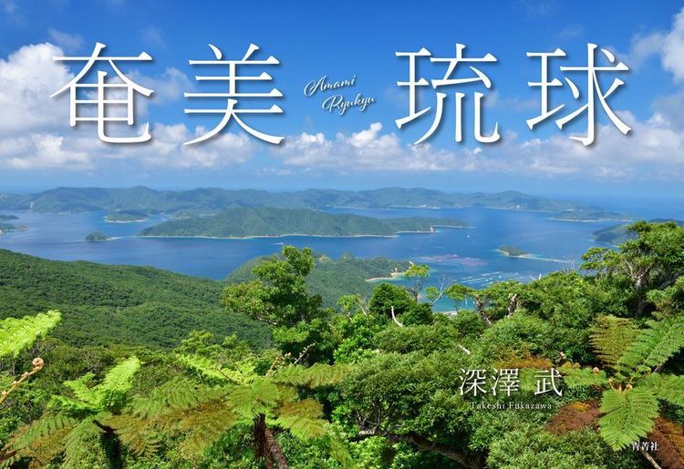 Produktbild: Amami Ryukyu