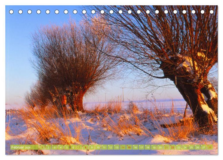 Produktbild: Landwirtschaft Natur pur Mecklenburg-Vorpommern (Tischkalender 2026 DIN A5 quer), CALVENDO Monatskalender