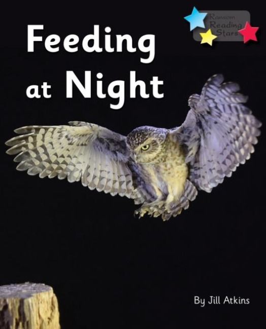 Produktbild: Feeding at Night
