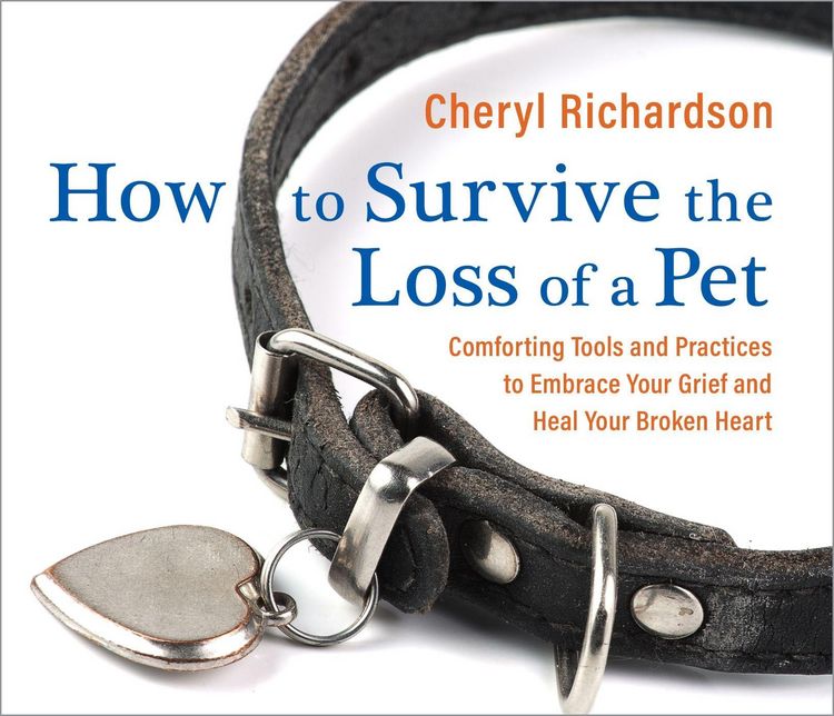 Produktbild: How to Survive the Loss of a Pet