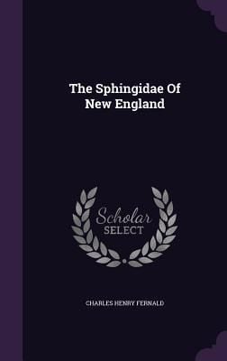 Produktbild: The Sphingidae Of New England