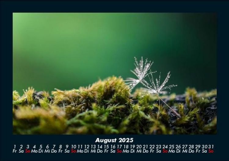 Produktbild: Bilder aus der Natur 2025 Fotokalender DIN A5