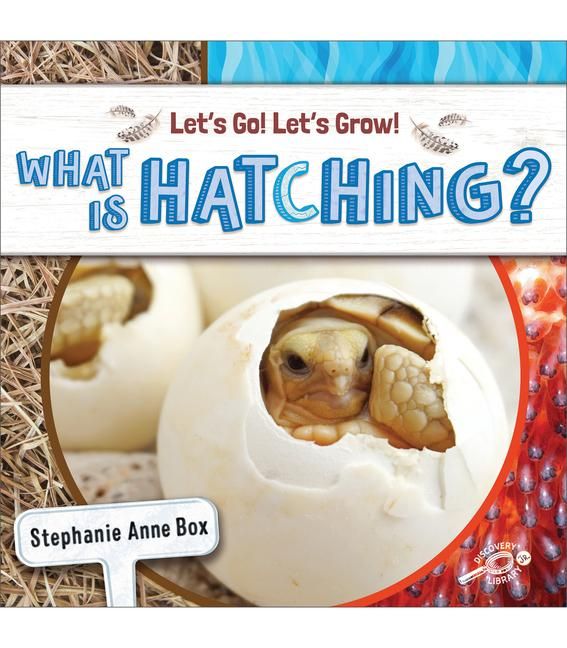 Produktbild: What Is Hatching?