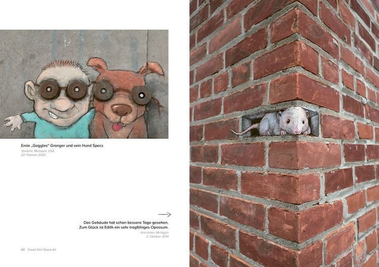 Produktbild: David Zinn. Street Art