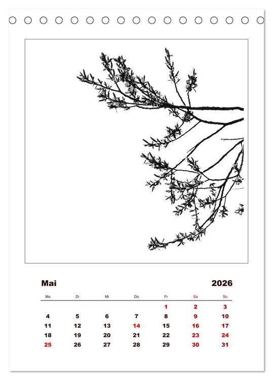 Produktbild: LignoGrafica - Muster und Strukturen der B&auml;ume (Tischkalender 2026 DIN A5 hoch), CALVENDO Monatskalender