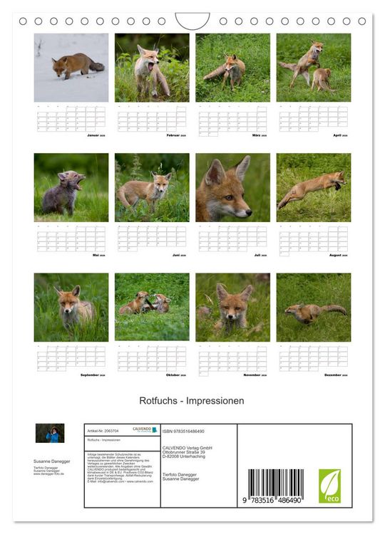 Produktbild: Rotfuchs - Impressionen (Wandkalender 2026 DIN A4 hoch), CALVENDO Monatskalender