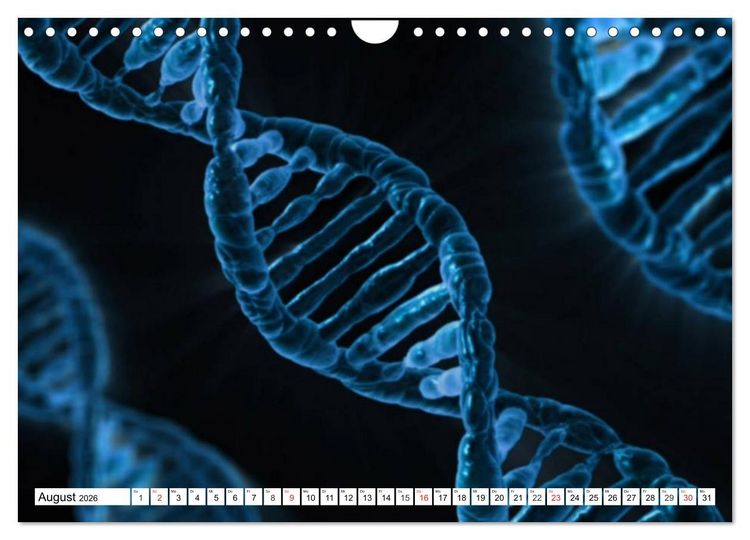 Produktbild: Mikrobiologie. Mikroorganismen, Genetik und Zellen (Wandkalender 2026 DIN A4 quer), CALVENDO Monatskalender