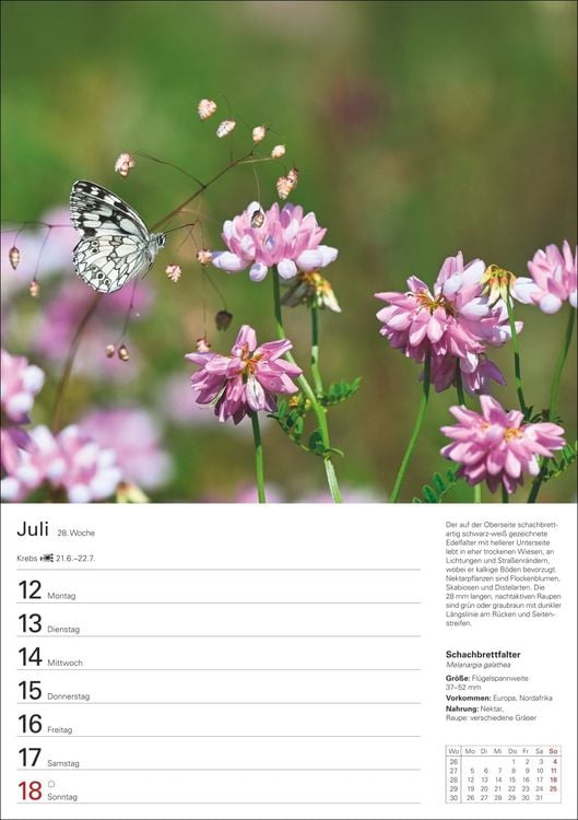 Produktbild: Heimische Tiere Wochenplaner 2027 - 53 faszinierende Fotografien