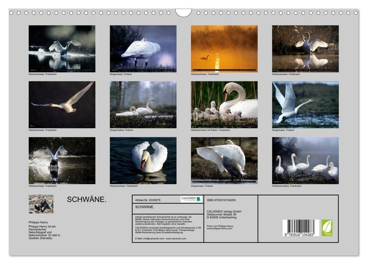 Produktbild: SCHW&Auml;NE. (Wandkalender 2026 DIN A3 quer), CALVENDO Monatskalender