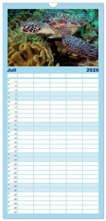 Produktbild: Familienplaner 2026 - Schildkr&ouml;ten des Ozeans mit 5 Spalten (Wandkalender, 21 x 45 cm) CALVENDO