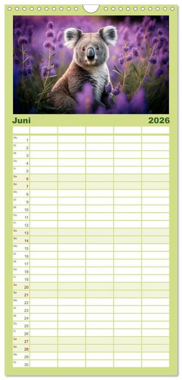 Produktbild: Familienplaner 2026 - Die Koalas sind los! Ein Jahr voller B&auml;renspa&szlig; mit 5 Spalten (Wandkalender, 21 x 45 cm) CALVENDO