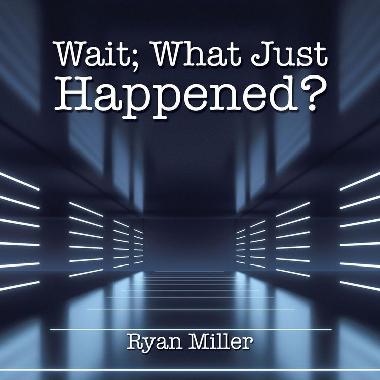 Produktbild: Wait; What Just Happened?