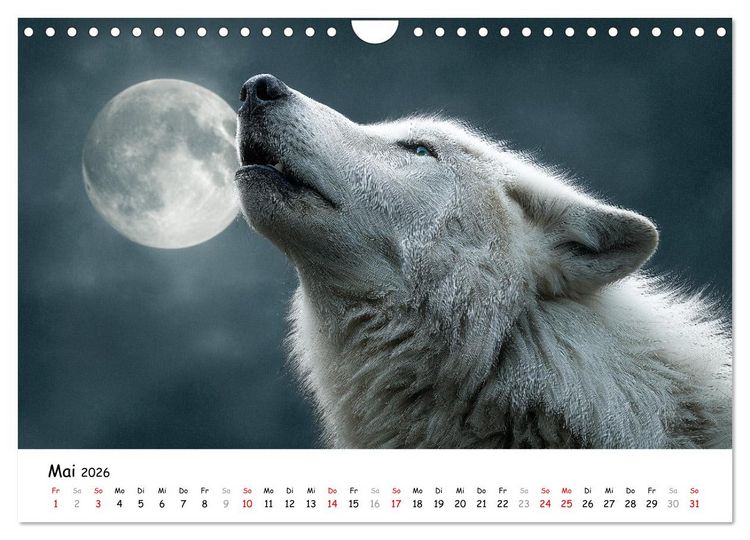 Produktbild: W&ouml;lfe im Mondlicht - Ruf der Wildnis (Wandkalender 2026 DIN A4 quer), CALVENDO Monatskalender
