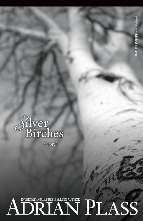Produktbild: Silver Birches
