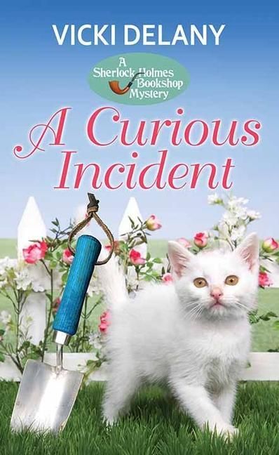 Produktbild: A Curious Incident