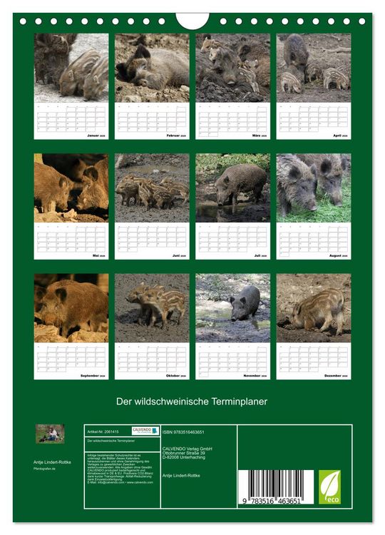 Produktbild: Der wildschweinische Terminplaner (Wandkalender 2026 DIN A4 hoch), CALVENDO Monatskalender
