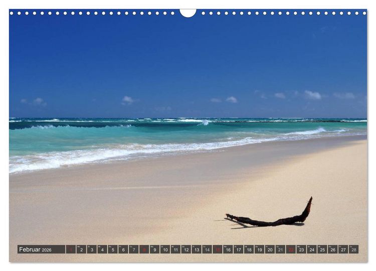 Produktbild: Ich will Meer ! (Wandkalender 2026 DIN A3 quer), CALVENDO Monatskalender