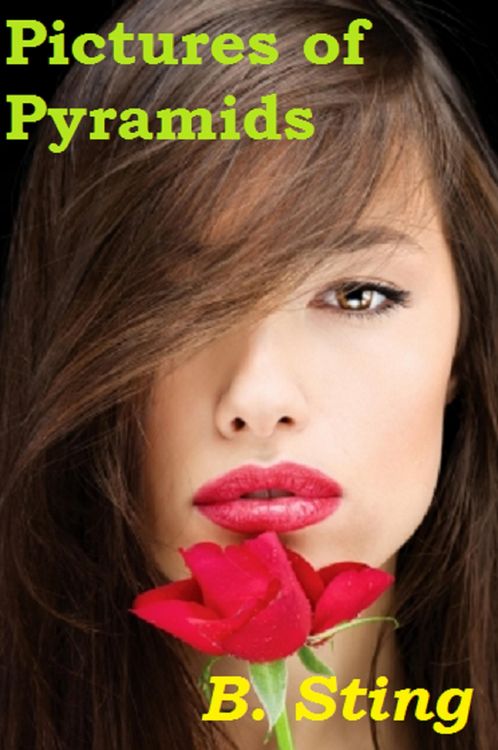 Produktbild: Pictures of Pyramids (romance)