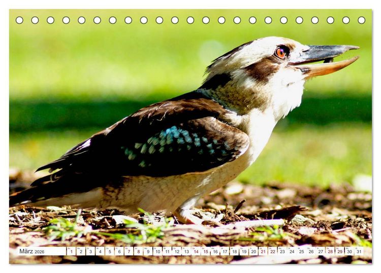 Produktbild: K&uuml;stenparadies - Noosa Nationalpark Australien (Tischkalender 2026 DIN A5 quer), CALVENDO Monatskalender