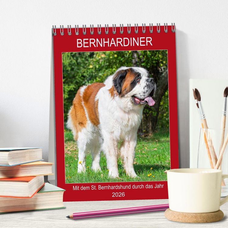 Produktbild: Bernhardiner - Mit dem St. Bernhardshund durch das Jahr (Tischkalender 2026 DIN A5 hoch), CALVENDO Monatskalender