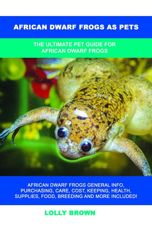 Produktbild: African Dwarf Frogs as Pets