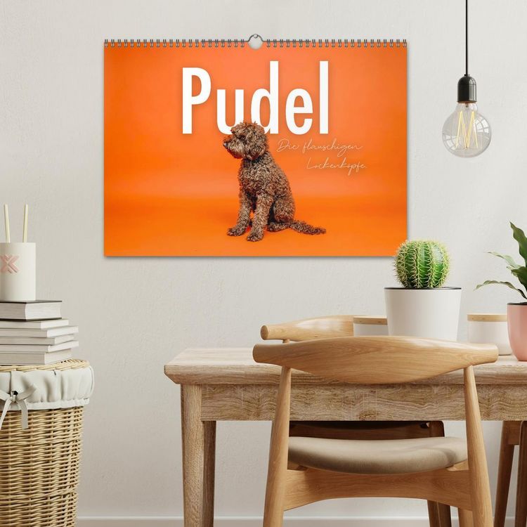 Produktbild: Pudel - Die flauschigen Lockenk&ouml;pfe. (Wandkalender 2026 DIN A3 quer), CALVENDO Monatskalender
