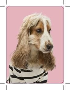 Produktbild: Ziehst du dich an wie dein Hund?