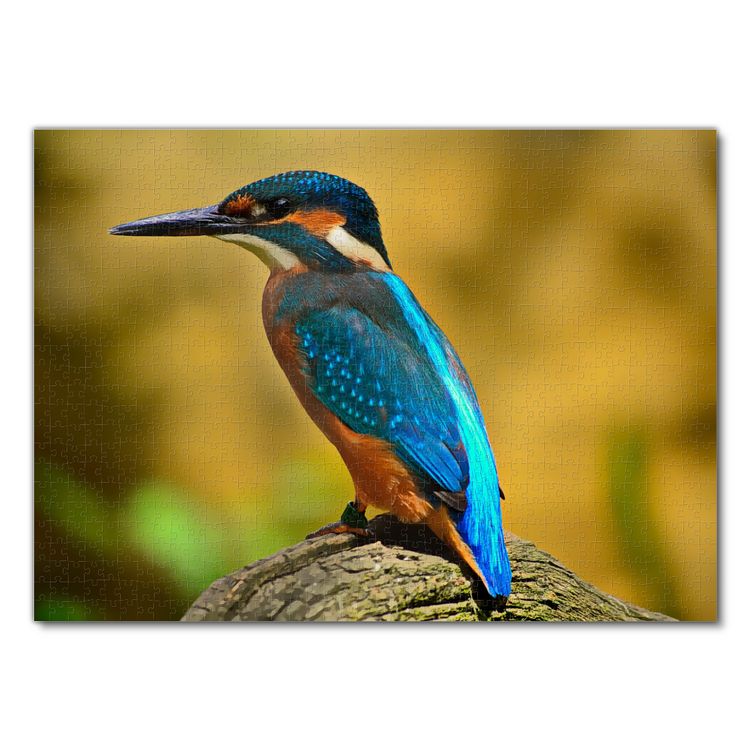 Produktbild: Lais Puzzle Eisvogel 1000 Teile