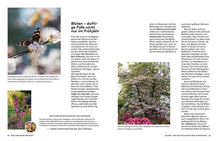 Produktbild: Kleine B&auml;ume f&uuml;r den Garten