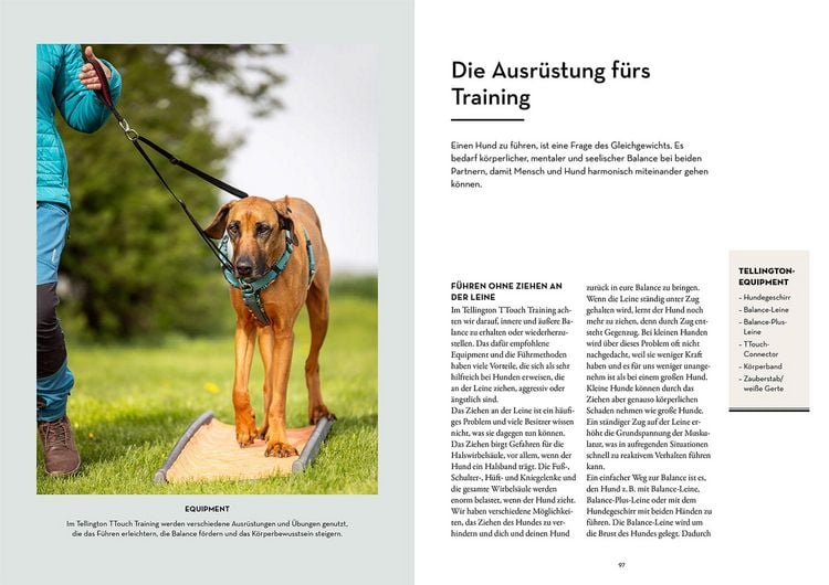 Produktbild: Tellington-Training f&uuml;r Hunde