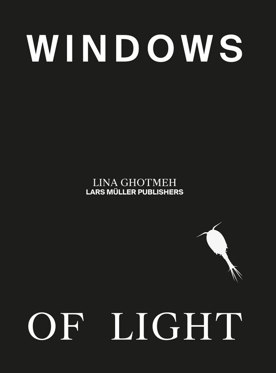 Produktbild: Windows of Light