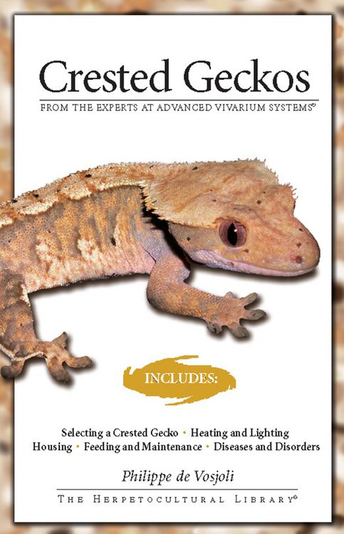 Produktbild: Crested Geckos