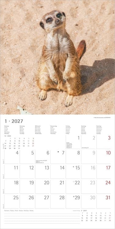 Produktbild: Erdm&auml;nnchen 2027