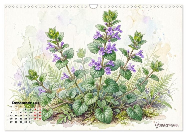 Produktbild: Wilde Kostbarkeiten &ndash; Essbar, gesund & wundersch&ouml;n (Wandkalender 2027 DIN A3 quer), CALVENDO Monatskalender