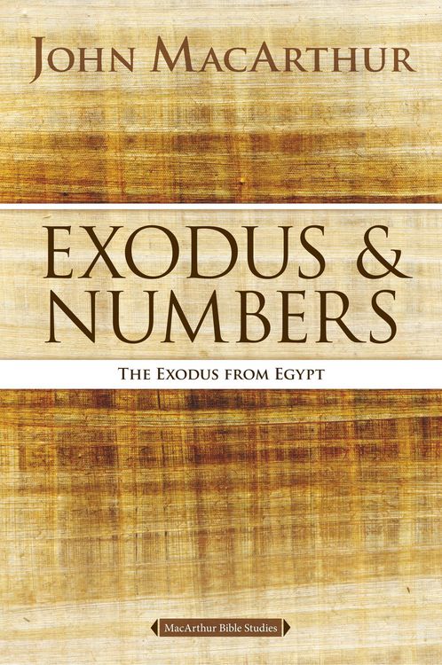 Produktbild: The Exodus and Numbers
