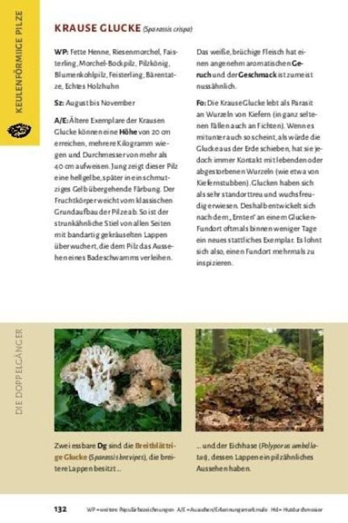 Produktbild: Pilze bestimmen - Der kleine Pilzf&uuml;hrer f&uuml;r Einsteiger und Fortgeschrittene