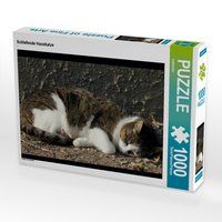 Produktbild: CALVENDO Puzzle Schlafende Hauskatze 1000 Teile Lege-Gr&ouml;&szlig;e 64 x 48 cm Foto-Puzzle Bild von kattobello