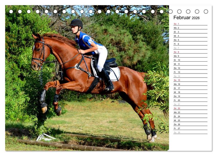 Produktbild: Mein Reitsport Kalender (Tischkalender 2026 DIN A5 quer), CALVENDO Monatskalender