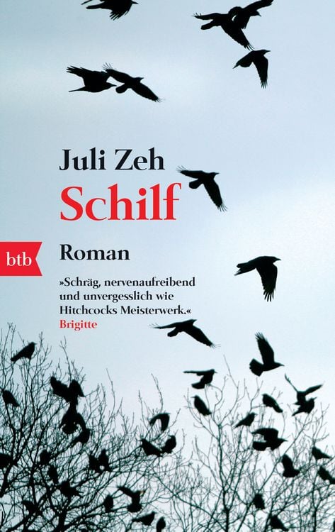 Produktbild: Schilf