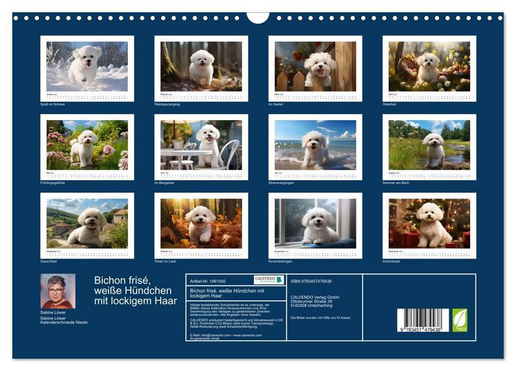 Produktbild: Bichon fris&eacute;, wei&szlig;e H&uuml;ndchen mit lockigem Haar (Wandkalender 2026 DIN A3 quer), CALVENDO Monatskalender
