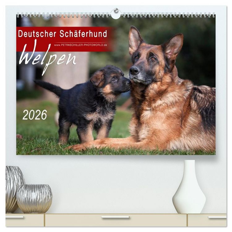 Produktbild: Deutscher Sch&auml;ferhund - Welpen / CH-Version (hochwertiger Premium Wandkalender 2026 DIN A2 quer), Kunstdruck in Hochglanz