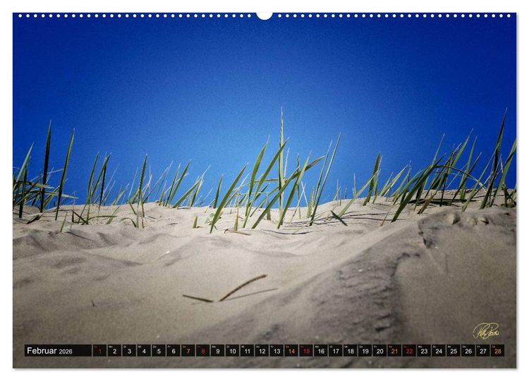 Produktbild: Nordsee-D&uuml;nen (Wandkalender 2026 DIN A2 quer), CALVENDO Monatskalender