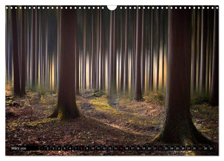 Produktbild: Zauberhafter Sachsenwald (Wandkalender 2026 DIN A3 quer), CALVENDO Monatskalender