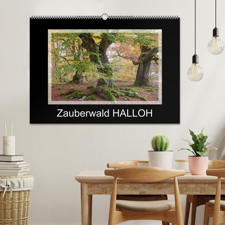 Produktbild: Zauberwald HALLOH (Wandkalender 2026 DIN A2 quer), CALVENDO Monatskalender